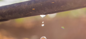 ¿Cómo ahorra la multinacional Foodiverse en el consumo de agua para ganar eficiencia y productividad?