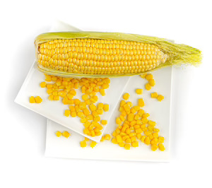 Ultracongelados Campo Verde gana músculo productivo e instala su crecimiento en el doble dígito