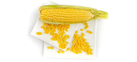 Ultracongelados Campo Verde gana músculo productivo e instala su crecimiento en el doble dígito