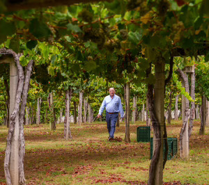 Bodegas Matarromera se inicia en la DO Rías Baixas con Viña Caeira