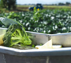 El proyecto de ingredientes upcycled Ingredalia cierra ronda y anuncia inversión en una planta de producción