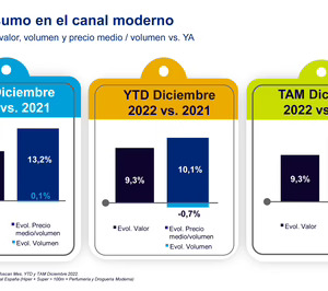 Las principales categorías de Non Food logran en diciembre un fuerte crecimiento en volumen