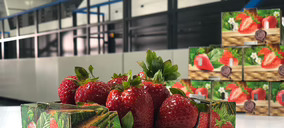 HP lanza una nueva prensa digital de alta velocidad y Saica apuesta por ella