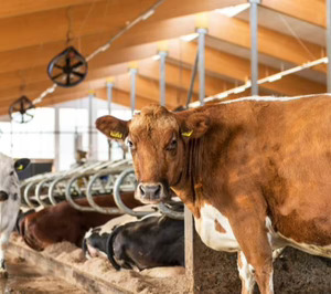 Valio y VTT pretenden reducir hasta en un 90% las emisiones de metano en las explotaciones lecheras