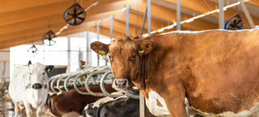 Valio y VTT pretenden reducir hasta en un 90% las emisiones de metano en las explotaciones lecheras