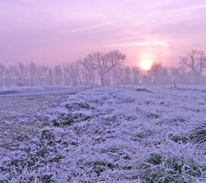 El cambio climático, origen de la inversión de Label Investments en la startup The Climate Box