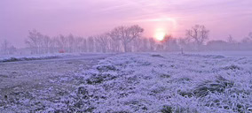 El cambio climático, origen de la inversión de Label Investments en la startup The Climate Box