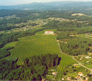 Cvne apuesta por Rías Baixas para hacerse con su octava bodega