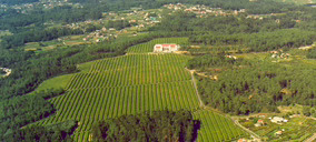 Cvne apuesta por Rías Baixas para hacerse con su octava bodega