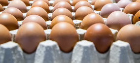 El grupo italiano Eurovo compra otra productora de huevos en España