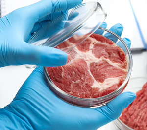 Agrenvec lanzará su catálogo de proteínas para medios de crecimiento de carne cultivada en 2024