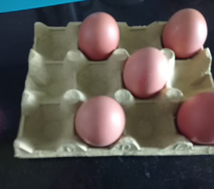 Avimosa abandona el negocio de huevos de consumo