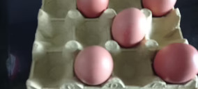 Avimosa abandona el negocio de huevos de consumo