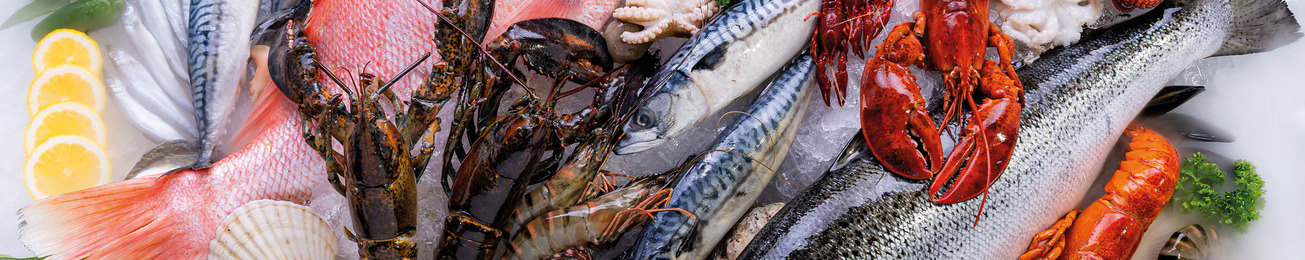 Informe 2023 del sector de pescado y marisco congelado