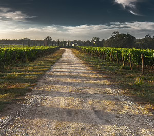 Capel Vinos invierte en equipamiento y sostenibilidad