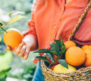 Iberian Premium Fruits gana tamaño y estudia compras más allá del sector de cítricos