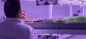 Isifarmer lleva la agricultura vertical a Madrid con la apertura de su espacio de co-farming