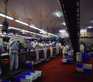 El matadero de Tello Alimentación se prepara para incrementar su capacidad vía inversión