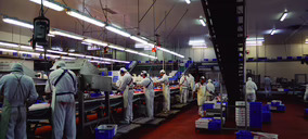 El matadero de Tello Alimentación se prepara para incrementar su capacidad vía inversión