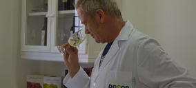 La sección de vinos de Dcoop se reorganiza con la creación una nueva división