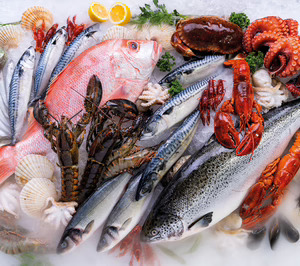 Anfaco participará en dos nuevos proyectos de transformación para la industria del mar