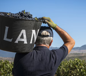 La sostenibilidad como eje de la estrategia de crecimiento de Bodegas Lan