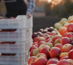 Itene analizará los riesgos del transporte por carretera de alimentos y baterías eléctricas para optimizar su embalaje