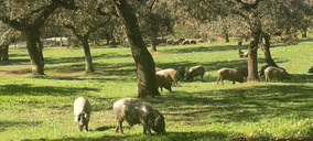 Jamones Segovia (Montenevado) apuesta por el ibérico, pone en marcha su planta de EE.UU. y suma inversiones en España